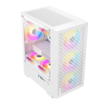 Golden Field V01 White